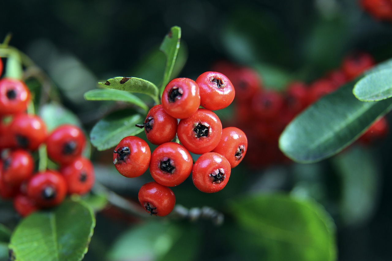 英格兰队欧洲杯最佳战绩 英格兰最佳战绩是亚军.