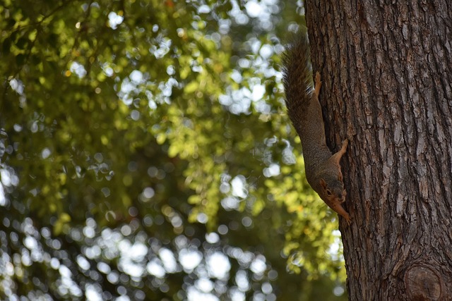 2022賽季中國足球乙級聯賽賽程表.