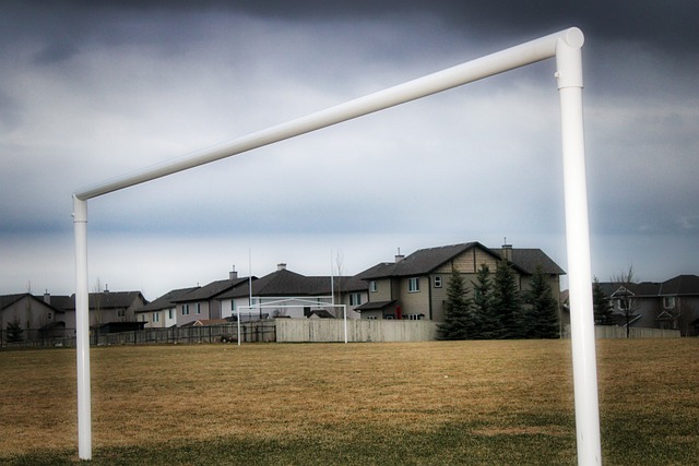 奠定了夺冠 奠定了夺冠